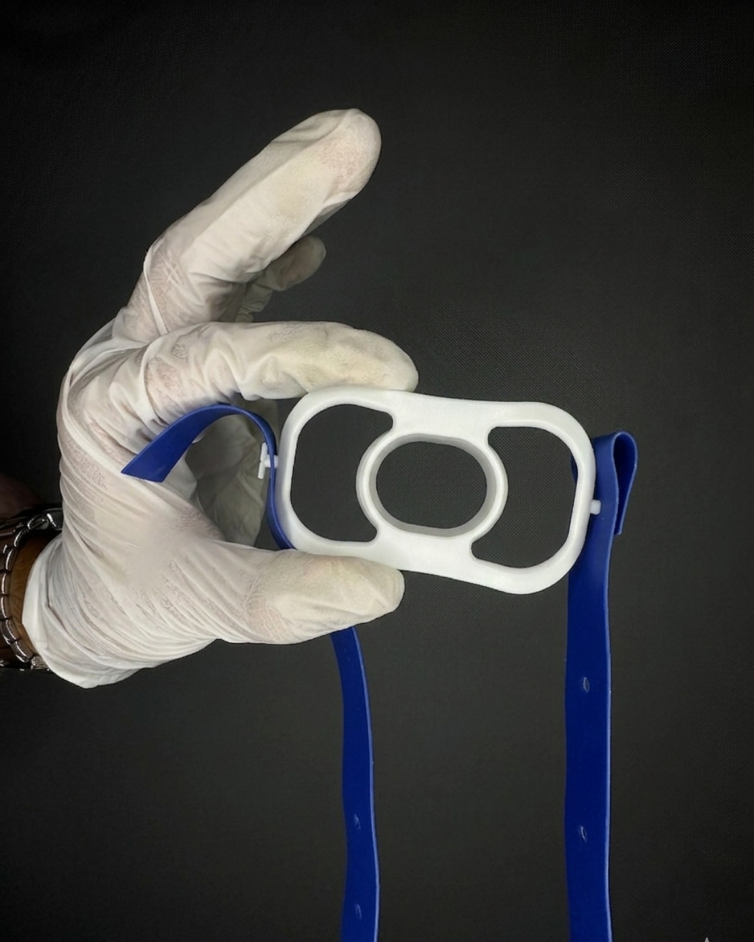 Categoría principal